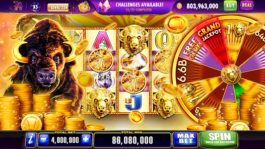 Cashmon Casino Interface